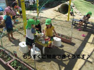 ご馳走づくり