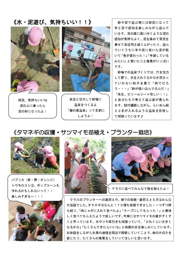5月