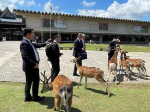 鹿せんべいやり
