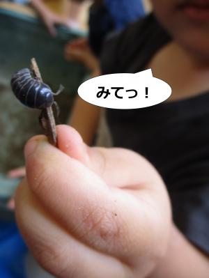 ぼうにのぼった