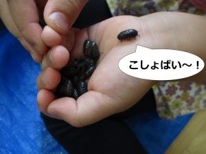 ねてなかった
