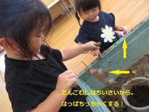 ちいさく