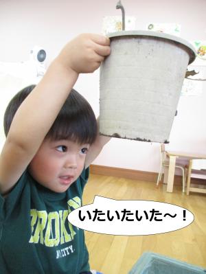 いた！