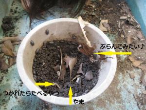 こんなかんじ