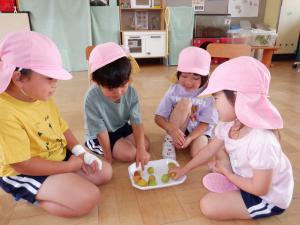 佐保幼稚園　梅の実