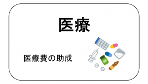 医療費の助成