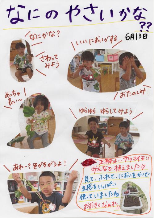 なにのやさいかな