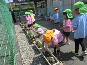 花植え６
