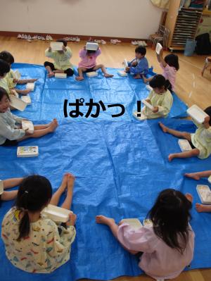 ぱか