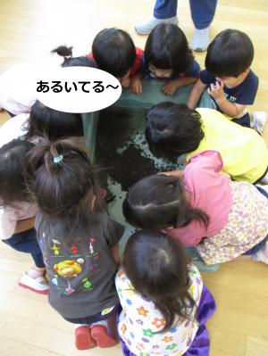 うまれたよ