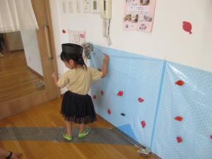 金魚さがし1