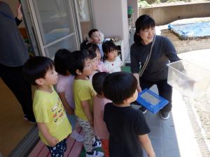 3歳2