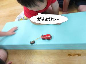 がんばれ