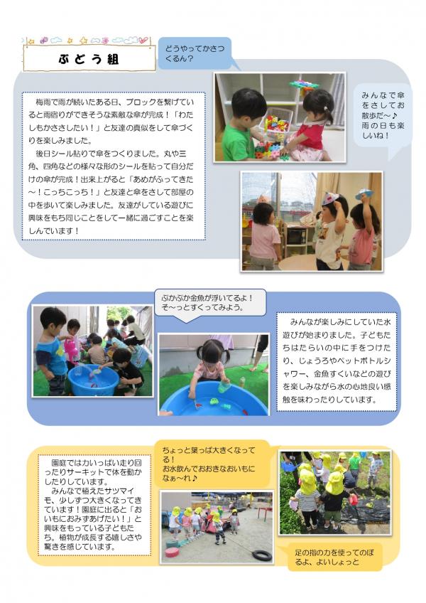 2歳ぶどう