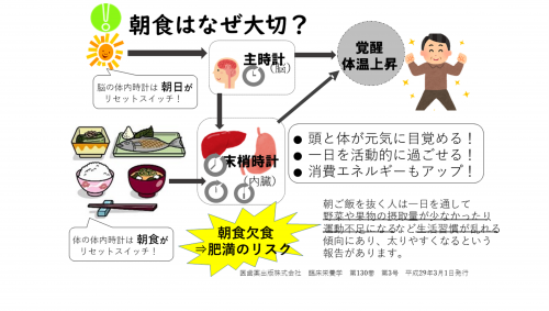 朝食はなぜ大切