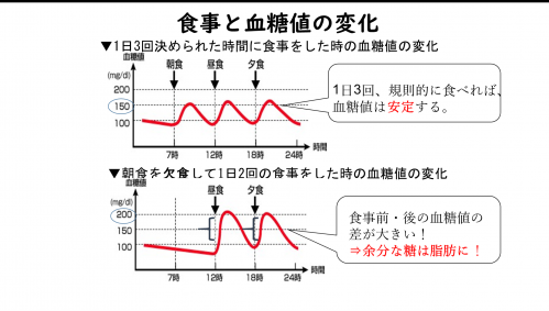 食事と血糖値の変化