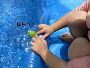 膨らんだ！
