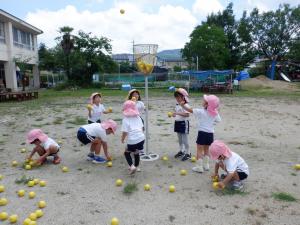 佐保幼稚園　玉入れに挑戦