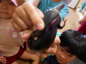 なすびの穴を見つけた子ども
