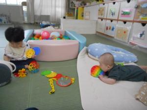 玩具を舐めて遊んでいます
