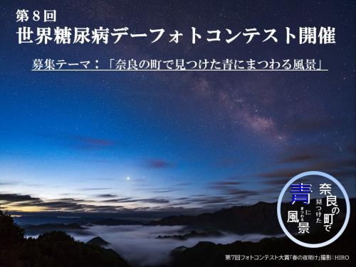 第8回世界糖尿病デー
