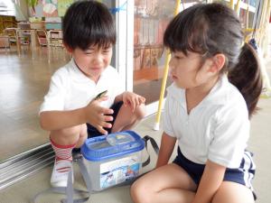 佐保幼稚園　タマムシ2