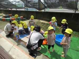 水遊び