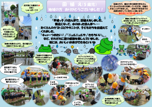 田植