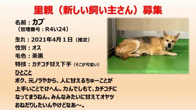 か