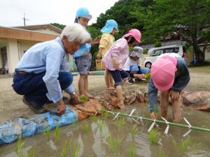 田植え２