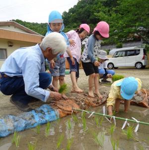 田植え5