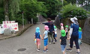 しょうぶ園