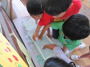 5歳児水実験をしている様子