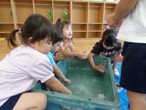 ３歳　氷