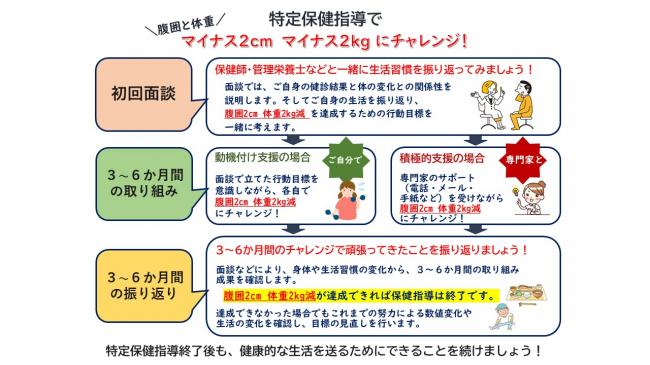 特定保健指導の支援の流れ