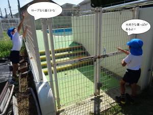 バッタを捕まえたい