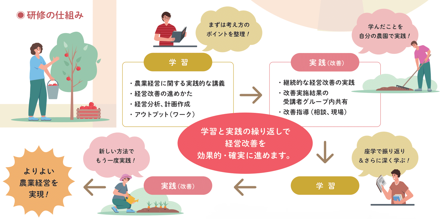 研修の仕組み