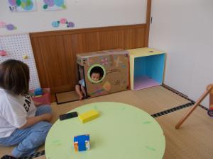 段ボールから顔を出しています