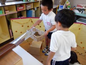 佐保幼稚園　ドングリ転がし2