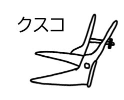 クスコのイラスト