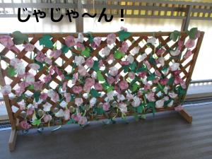 たくさんさいた