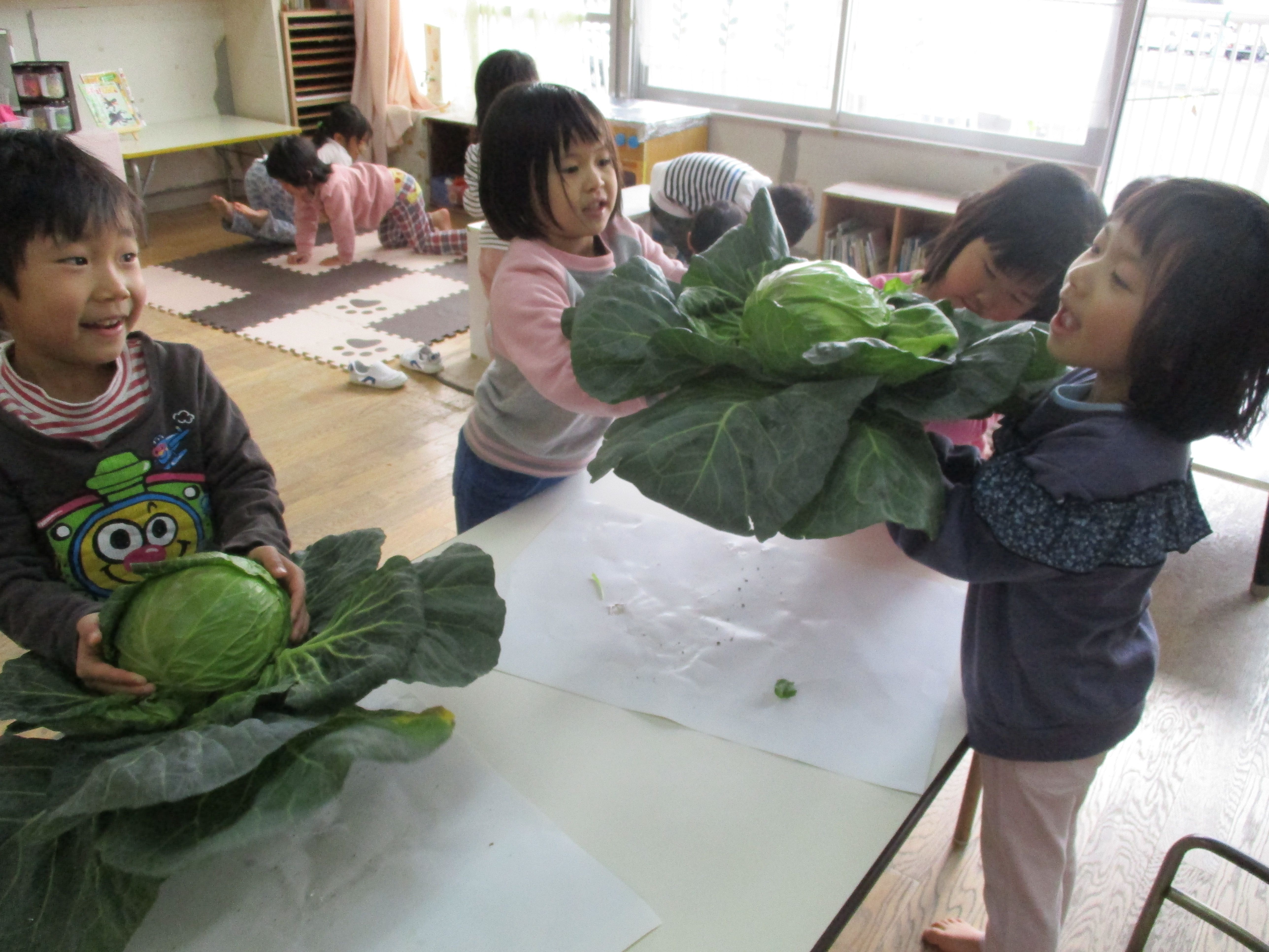 クッキングに使うために育てた野菜を収穫する4歳児