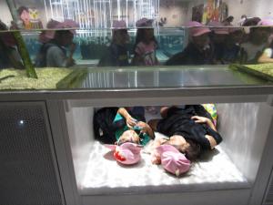 5歳　遠足5