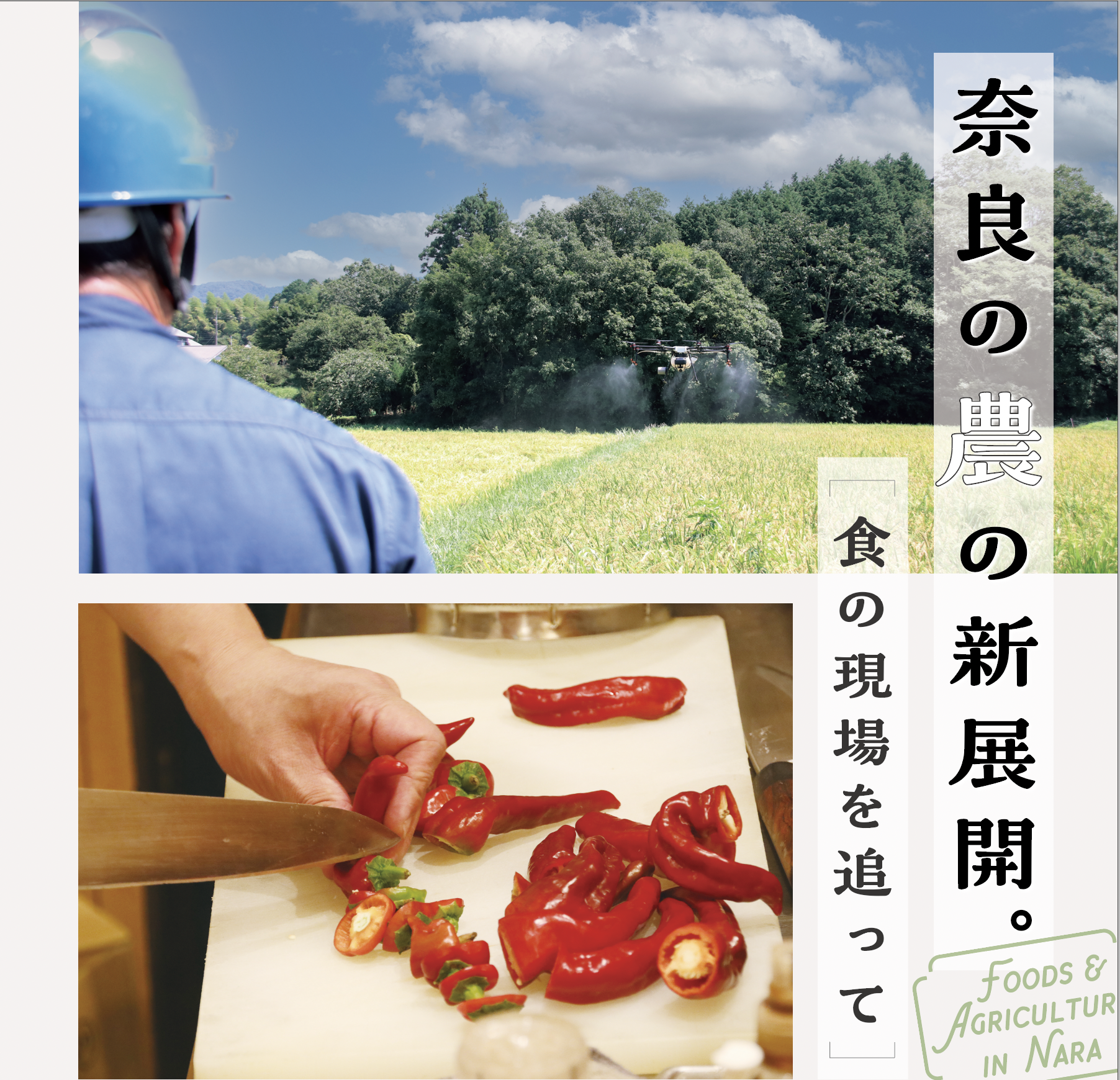 メインタイトル