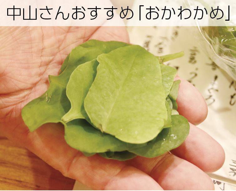 おかわかめ