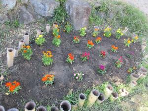 5歳児の花壇