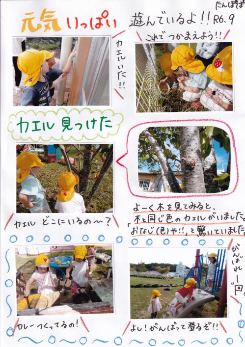 2歳児9月の様子①