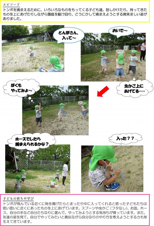 はいって２