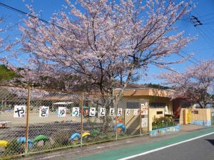 正門　桜