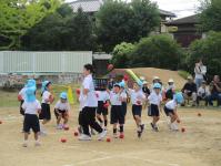 4歳玉入れ